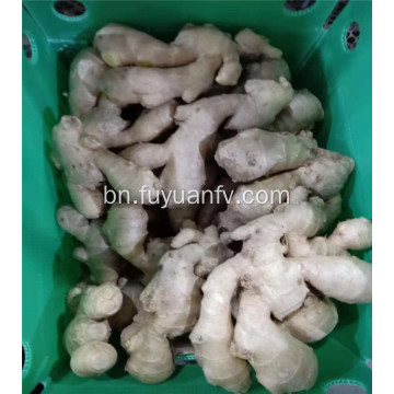 300g এবং আপ বায়ু শুকনো আদা